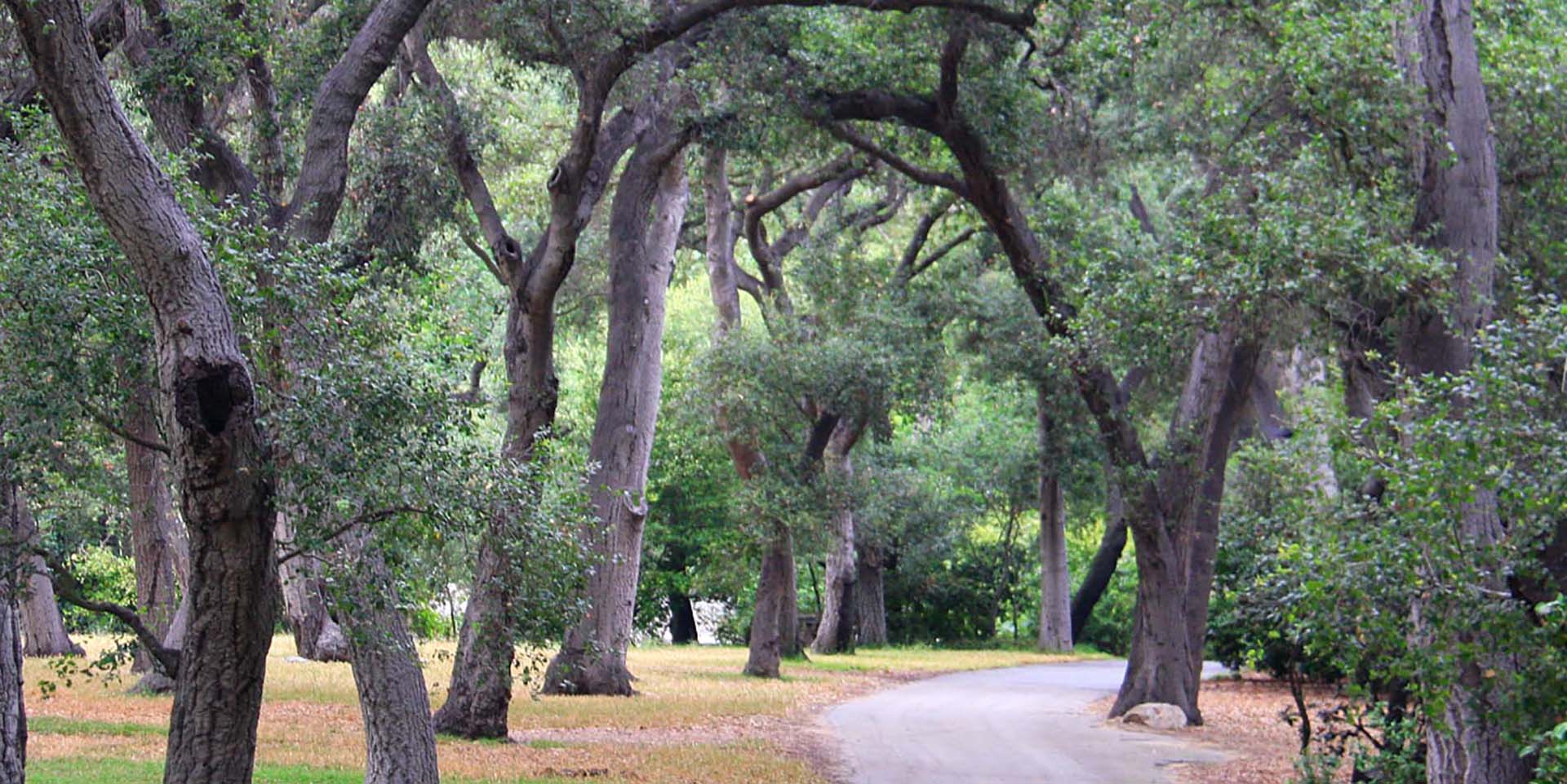 Men's Garden Club of Los Angeles